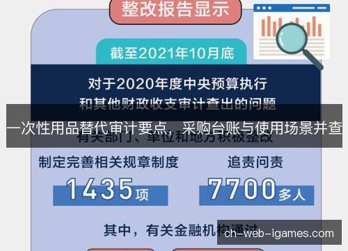 一次性用品替代审计要点，采购台账与使用场景并查